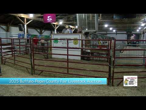 2025 Buffalo-Pepin County Fair Livestock Auction