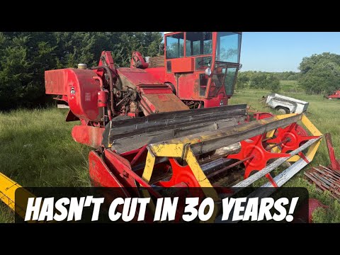 Just Like Grandpa Had! Massey Ferguson 82 Combine!