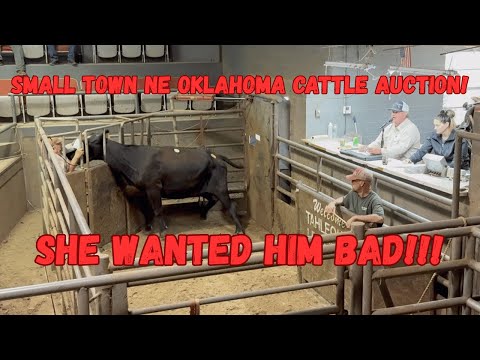 I went to the Tahlequah Ok, Livestock Auction! Rank Cows get a trip to town!