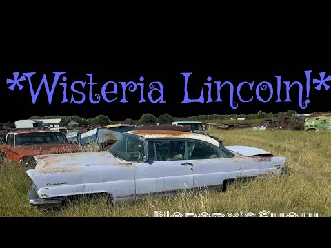 New Inventory! Tree Row, Farm Auction Fresh 1956 Lincoln 2 Door Hardtop! Island Coral and Wisteria!