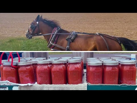 Amish Produce Auction + Family Canning Day | Homemade Spaghetti Sauce!