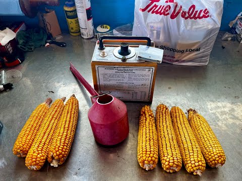 Farm Auction or Welfare? Something's Gotta Give