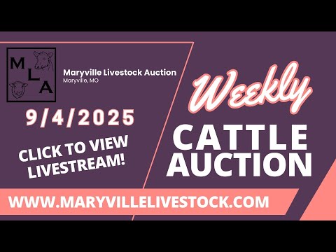9/4/2025 – Cattle Auction – Maryville Livestock Auction