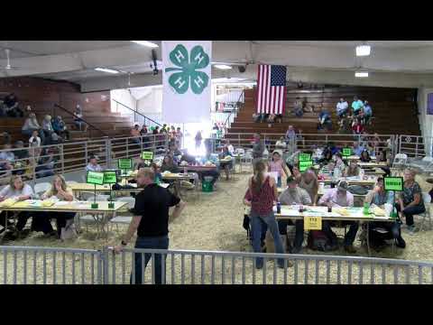 Dekalb County Fall Fair: Dairy Feeders & Steers Auction