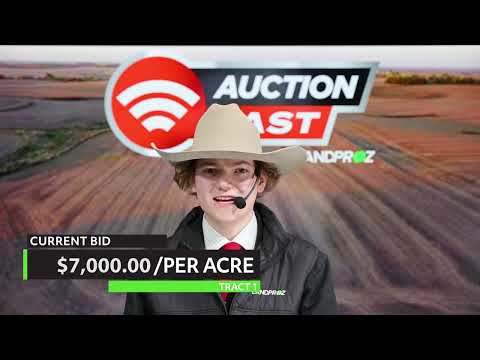 Land Auction | Brown County, MN | Tillable – Building Sites – Hunting | 65 +/- Acres | SOLD