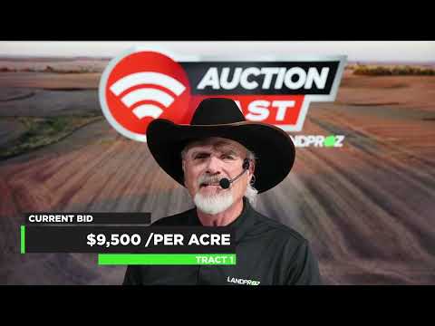 Farm Land Auction | Wright County, MN | Tillable – Timber – Development | 40 +/- Acres | SOLD