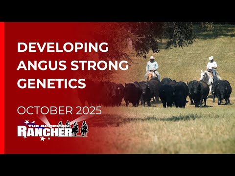 Behind the Scenes at 44 Farms | The American Rancher  | 10-06-25